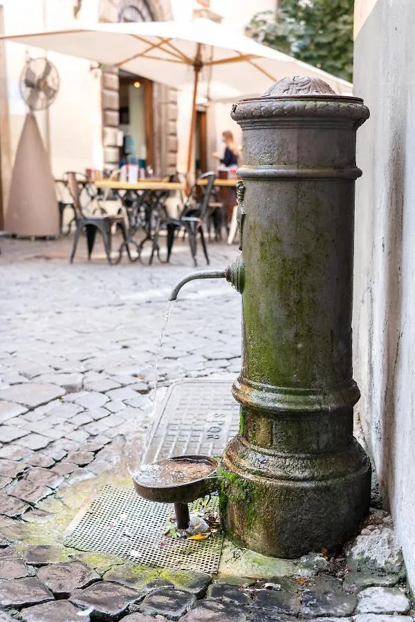 Navona 